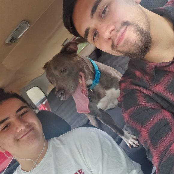 Meet your Posher, Matthew - Picture 1 of 1